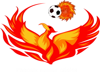 Diamond International Sports Academy badge